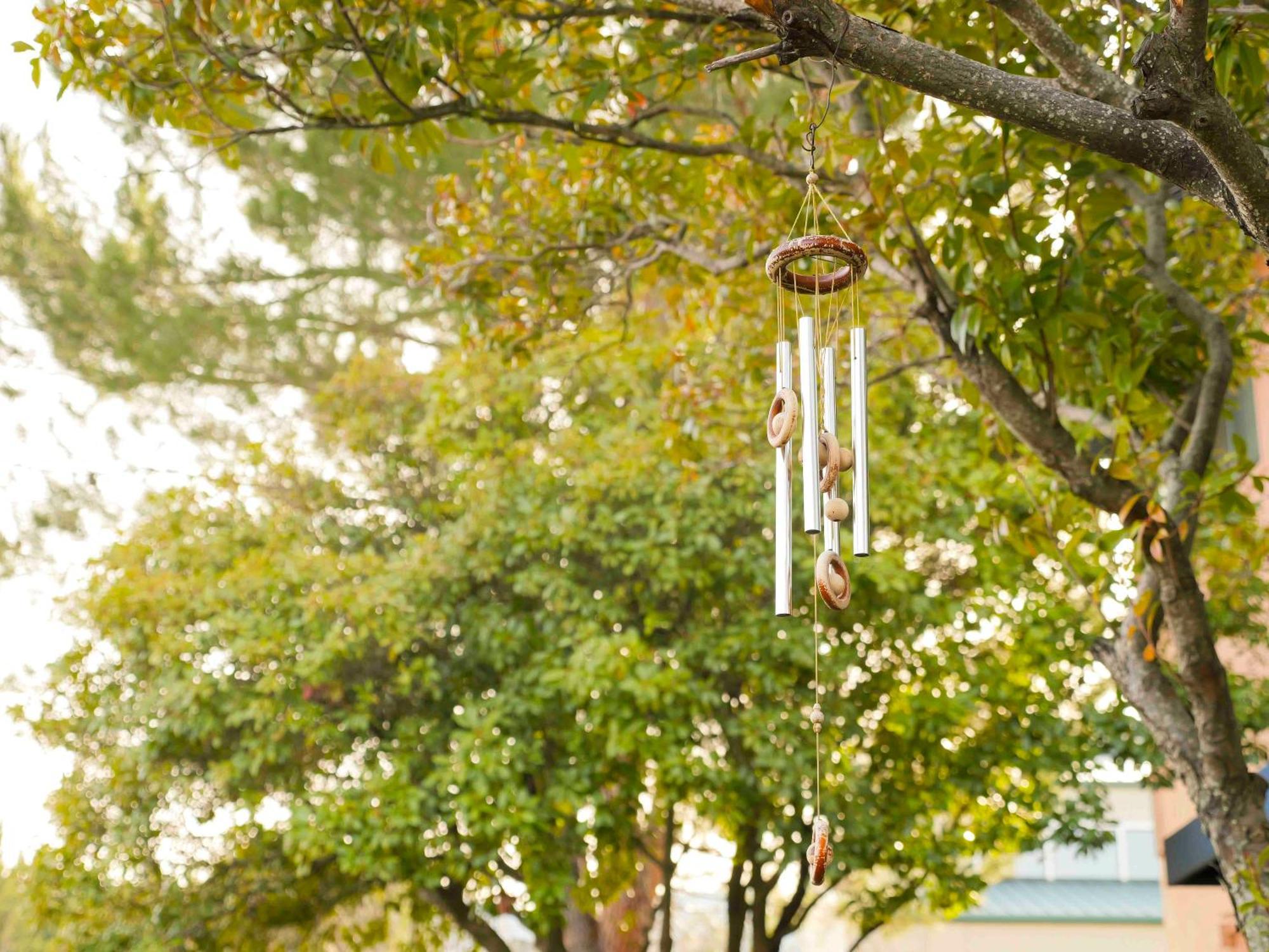 Ashland Commons Hostel Exterior foto
